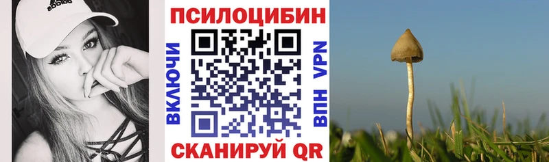даркнет сайт kraken ссылки Галлюциногенные грибы Psilocybe Алатырь